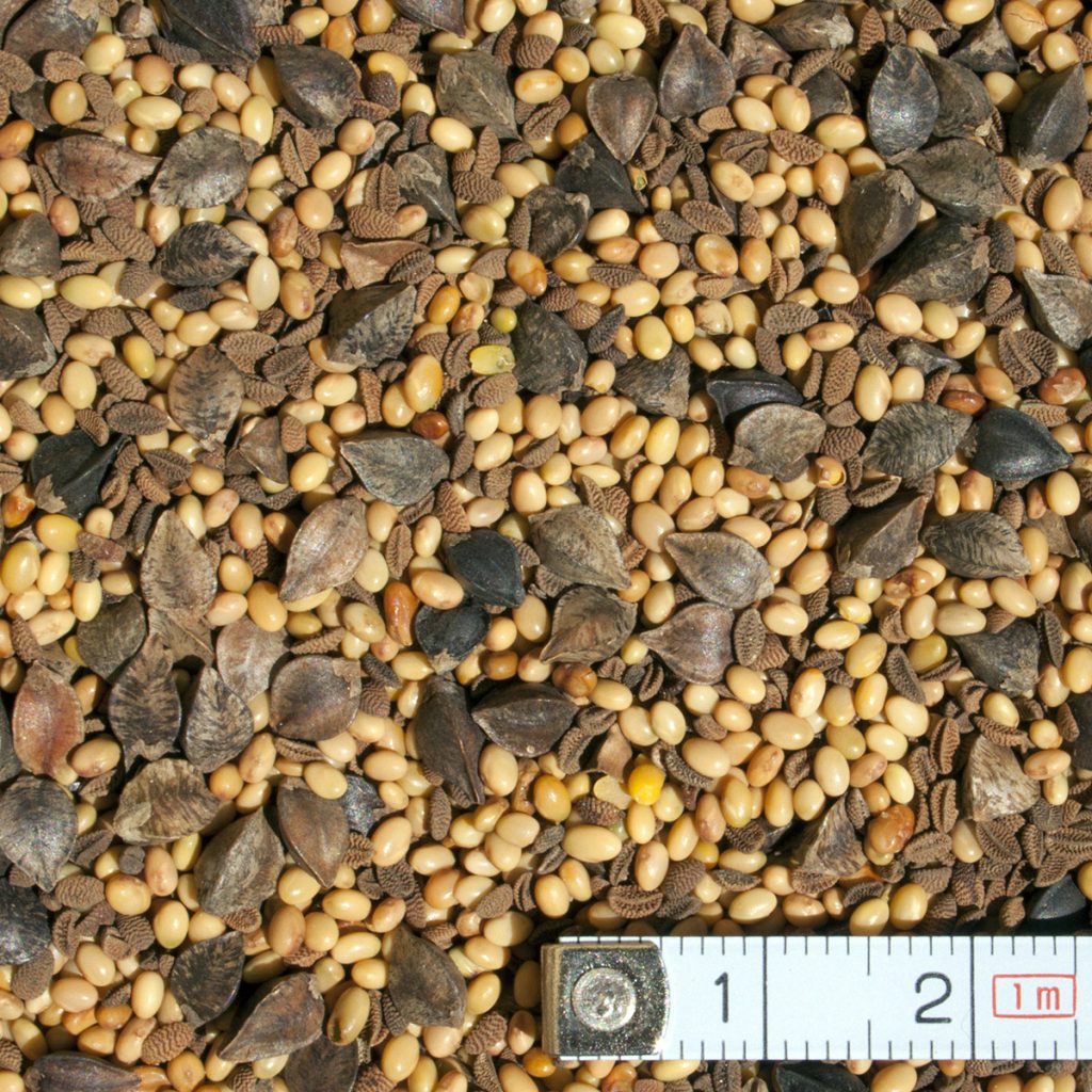 II. Kártevőmentes nitrogén termelés