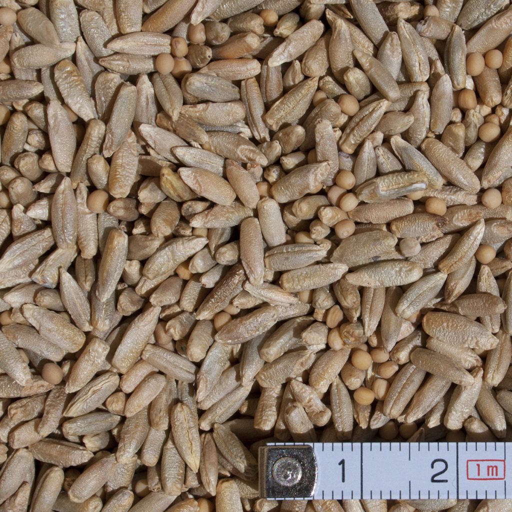 III. Költséghatékony-áttelelő