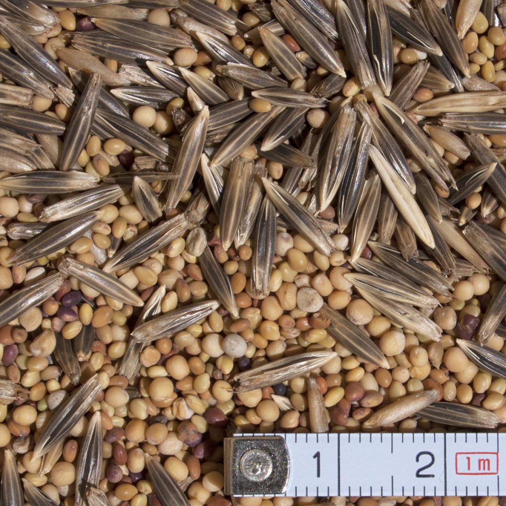 IV. Gyors gyomelnyomás + N-megkötés