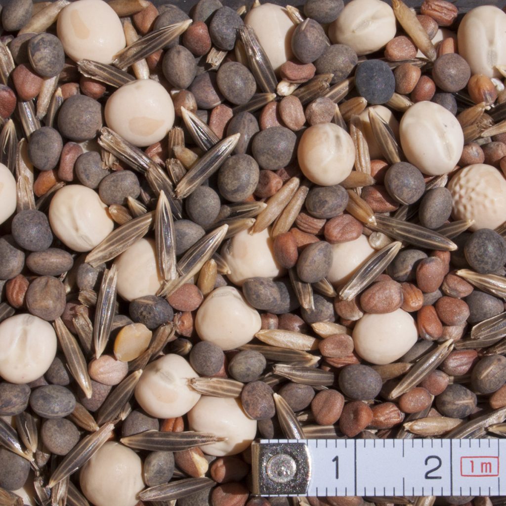 V. Tillage retek keverék