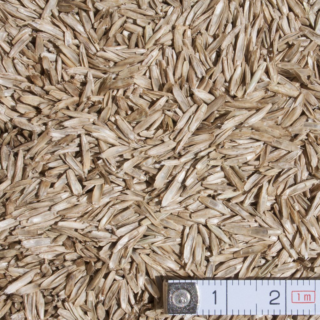 Angol perje MATHILDE