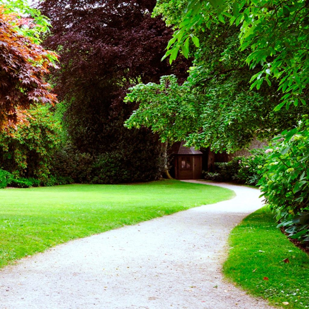 Mediterrán / szárazságtűrő /