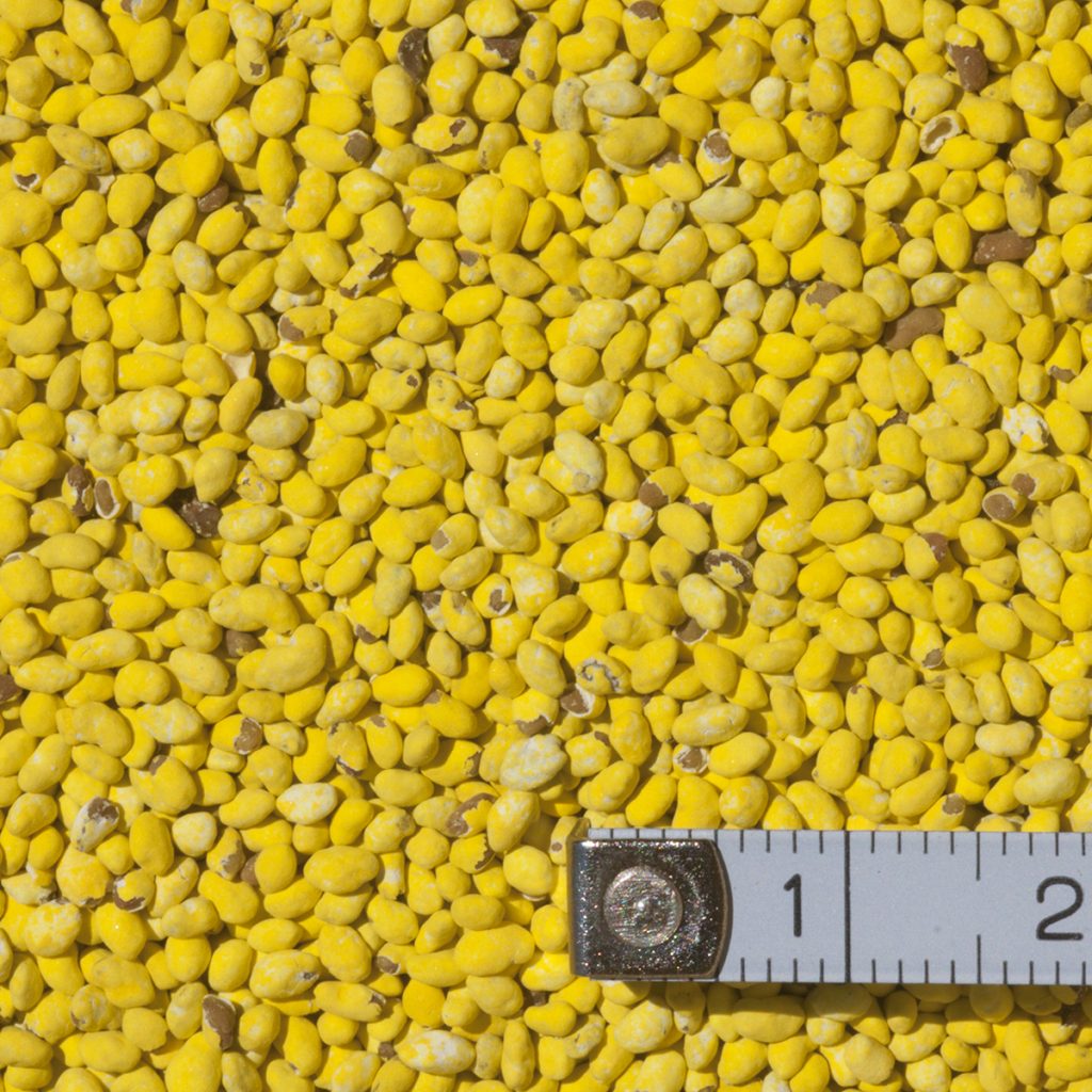 Lucerna PLATO (német fajta)