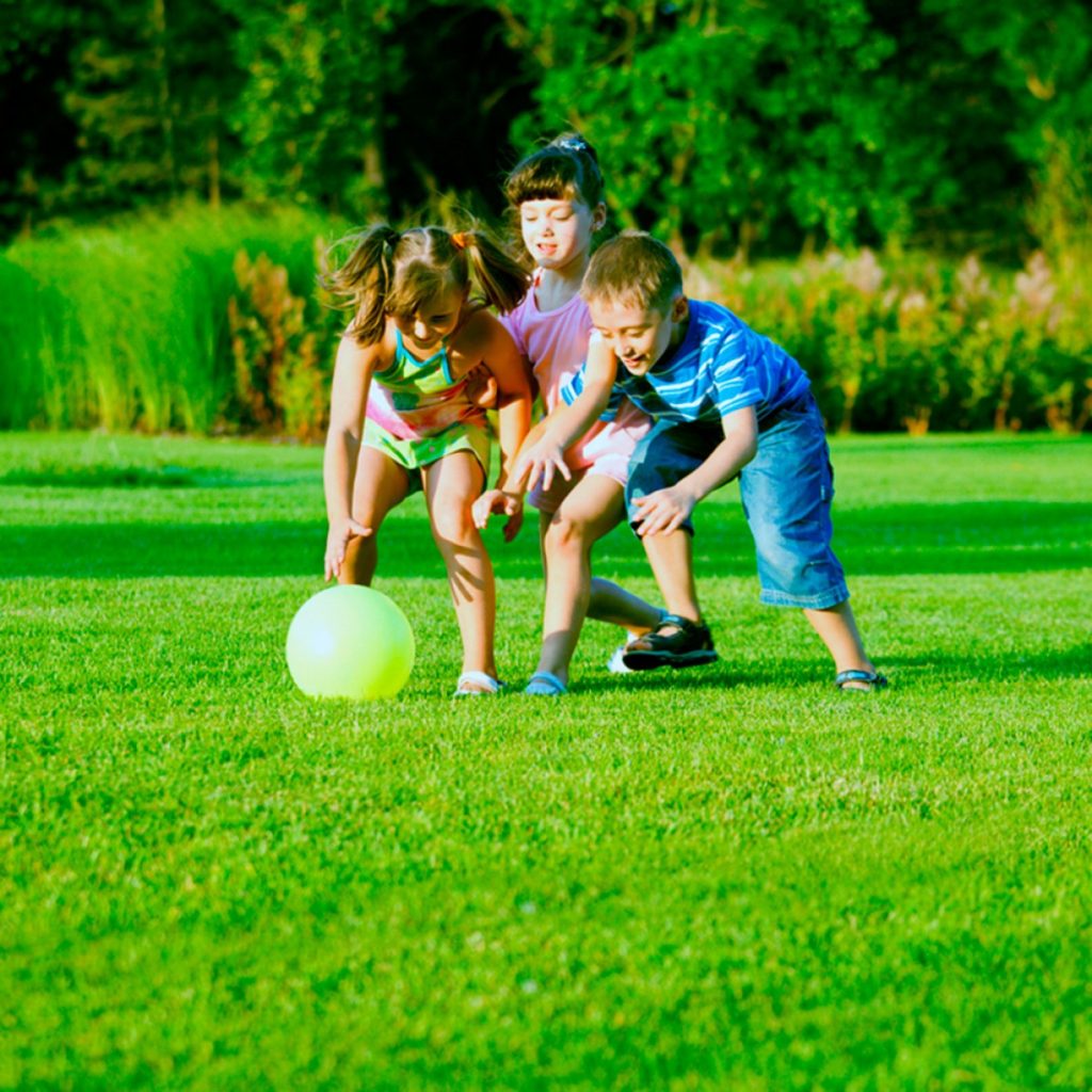 Sport - Játék /Gyors kelésű/