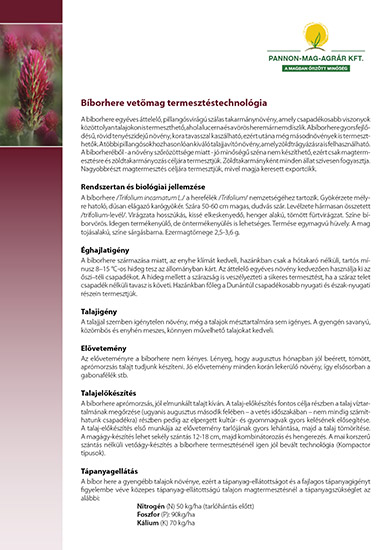 Bíborhere vetőmag termesztéstechnológia